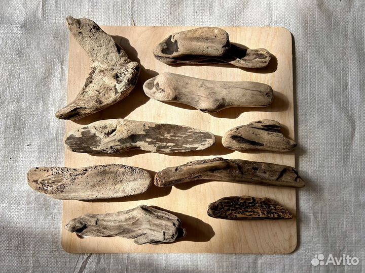 Коряга дрифтвуд