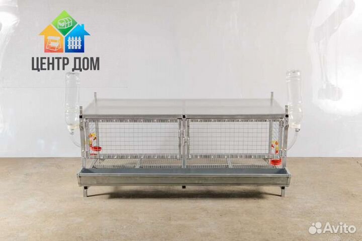 Клетки для кур