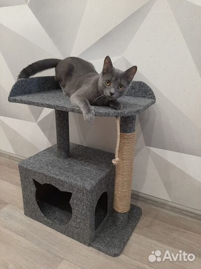 Домик для кошки
