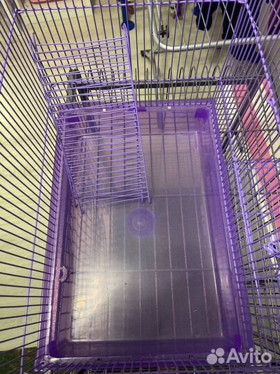 Клетки и переноска для грызунов