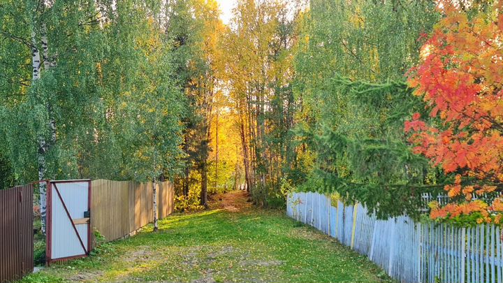 Дача 17 м² на участке 10 сот.