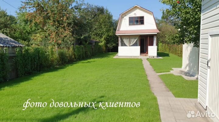 Газон/Газонная трава/Семена газона