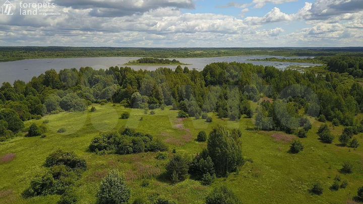 Участок 31 га (СНТ, ДНП)
