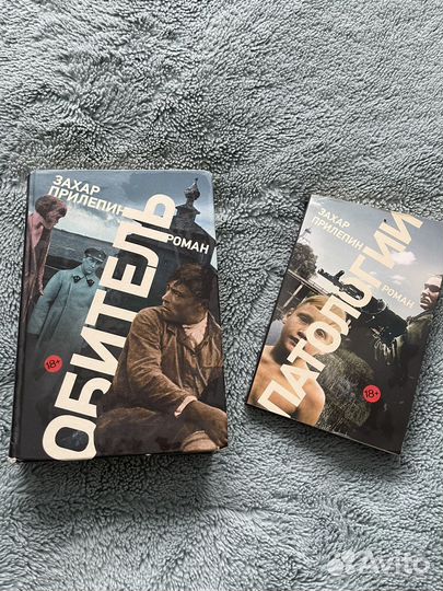 Прилепин. Обитель, Паталогии