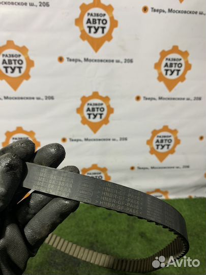 Ремень грм Ford Focus 3 1.6 pnda