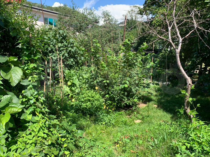 Участок 4,4 сот. (СНТ, ДНП)