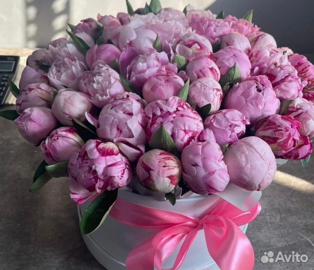 Пионы Букеты Цветы