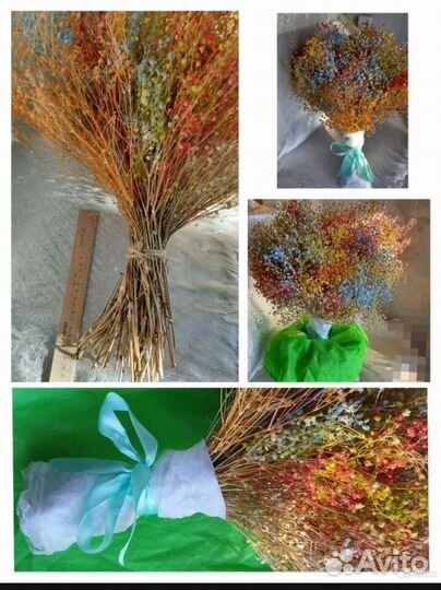 Сухоцветы для творчества гипсофила ворсянка