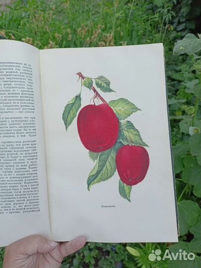 Редкие старые книги