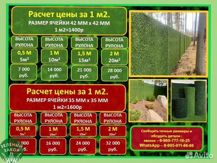 Зелёный Забор