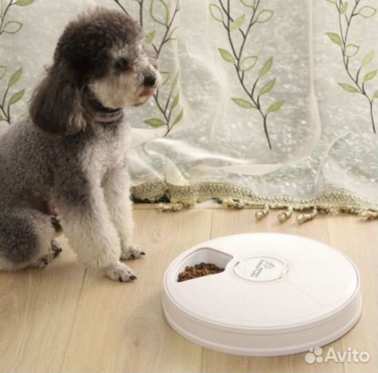 Кормушка авто для собак и кошек