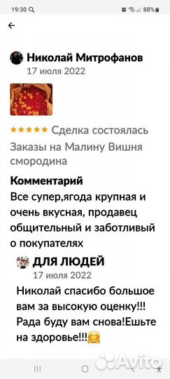 Малина разная саженцы