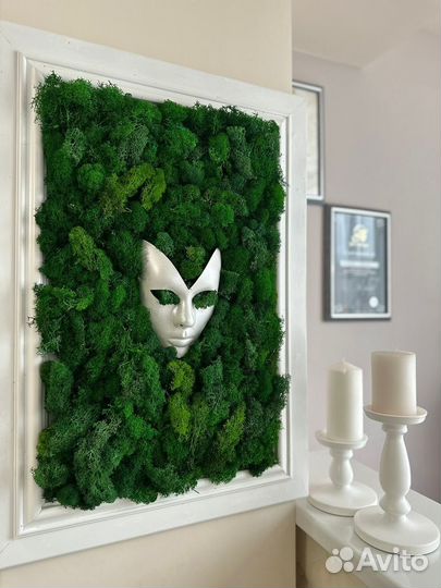 Стабилизированный мох декор