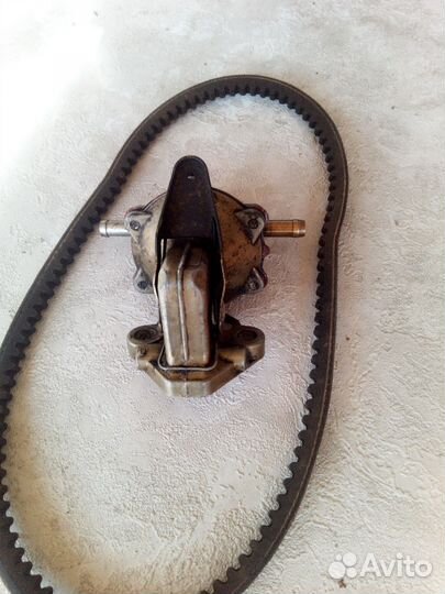 Безноносос