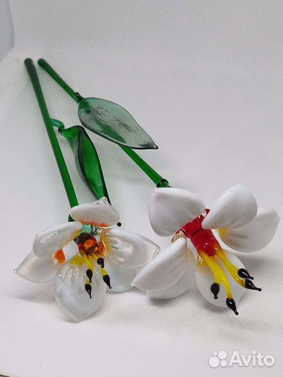 Стеклянные цветы