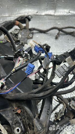 Жгут проводов капота Toyota Camry XV70, 2019