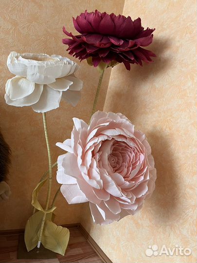 Ростовые цветы