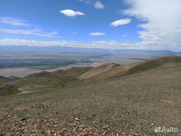 Экскурсии по горному алтаю