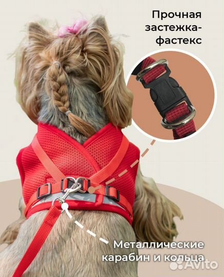 Шлейка для собак и кошек анатомическая