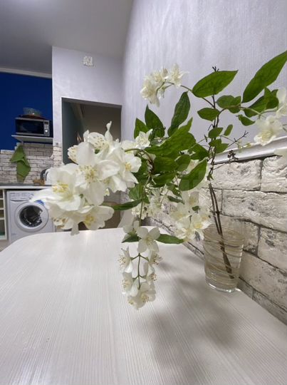 1-к. квартира, 45 м², 1/2 эт.