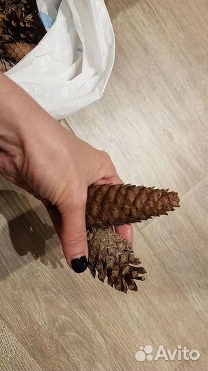 Шишки для поделок