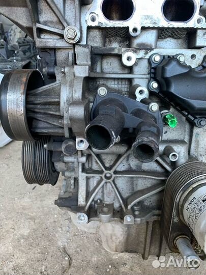 Двигатель Ford Focus 3 3 iqdb 2013