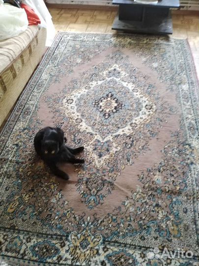 Ковёр б/у разм. 1.6х2.5м
