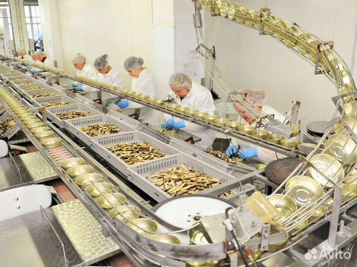 Фасовщица(ик) рыбы вахта Ежедневная оплата