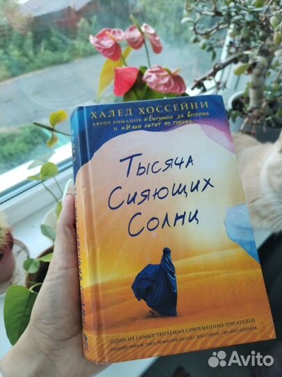 Книга тысяча сияющих солнц