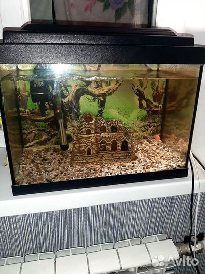 Аквариум