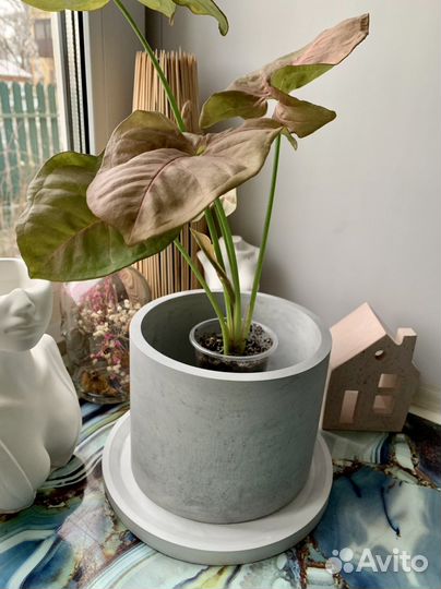 Цветочный горшок