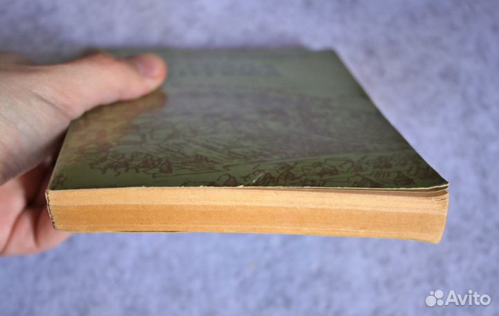 Боровик: У града Китежа