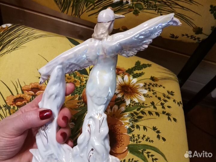 Девушка аист