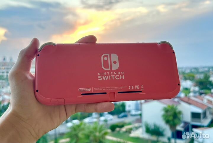 Nintendo switch lite