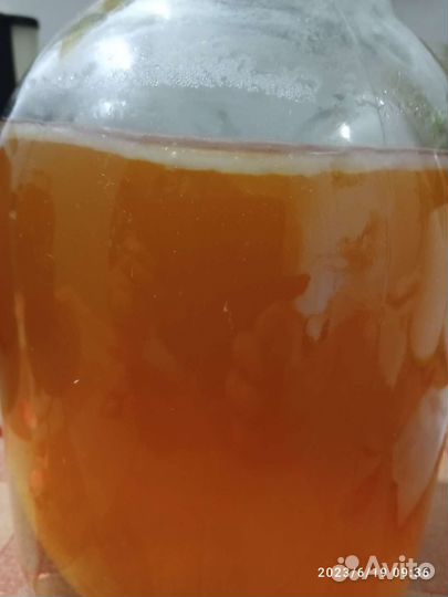 Яблочный уксус живой