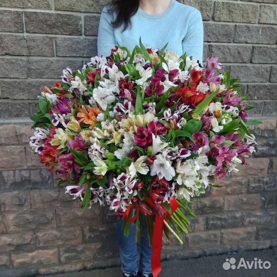 Альстромерия