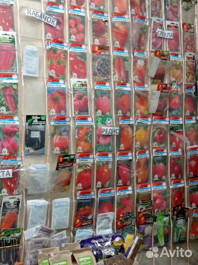 Кализия жёлтая