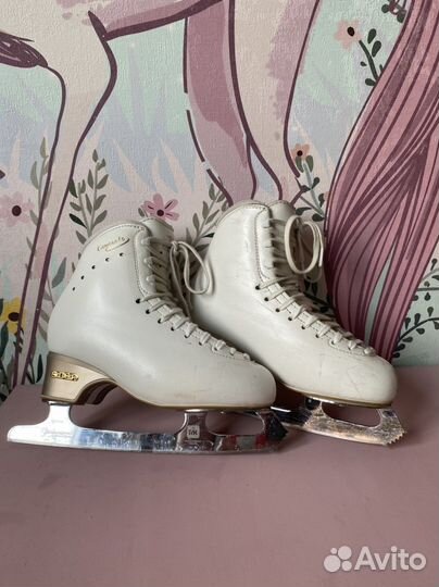 Коньки Edea Concerto 235