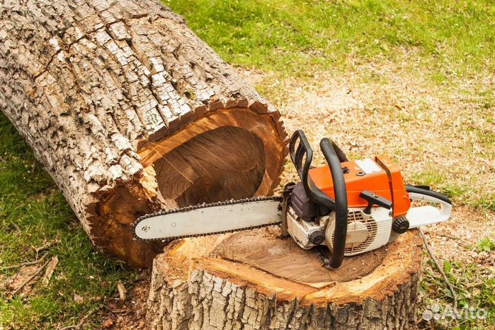 Спил деревьев