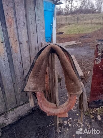 Продам хомут для лошади