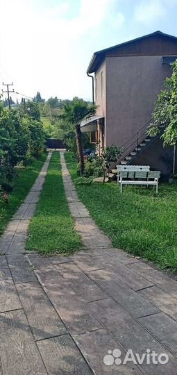 Отдых у моря в Абхазии