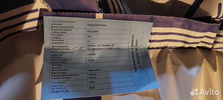 Семена гибрида подсолнечника HCX-6009