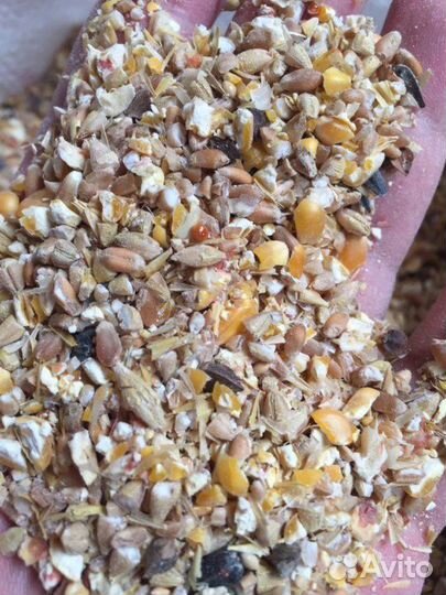 Зерносмесь для с/х птиц дробленная