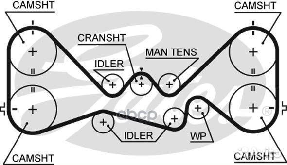 Ремень грм 5384XS Gates