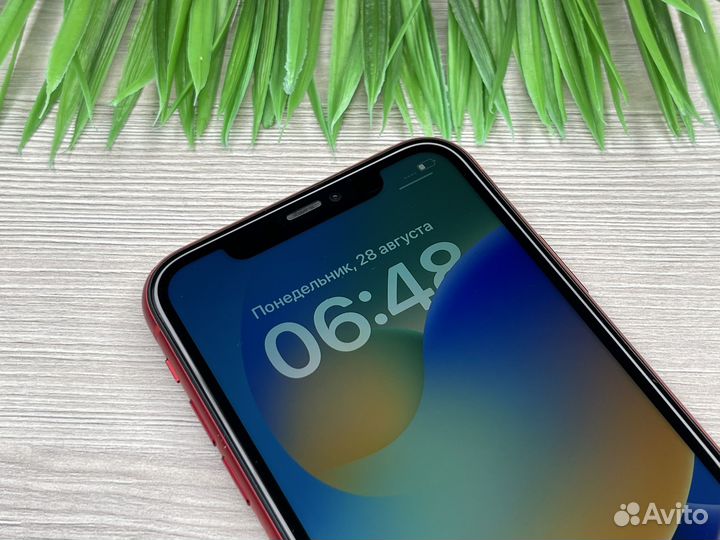 iPhone 11 64GB Red