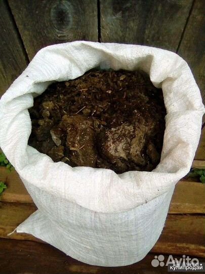 Продам навоз