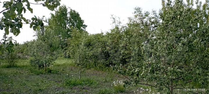 Участок 17 сот. (ИЖС)