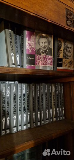 Книги из серии жзл