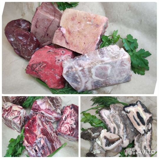 Мясо для собак говядина