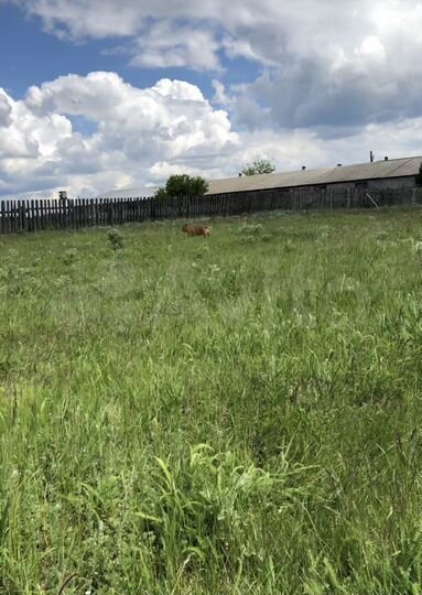 Участок 3 га (промназначения)